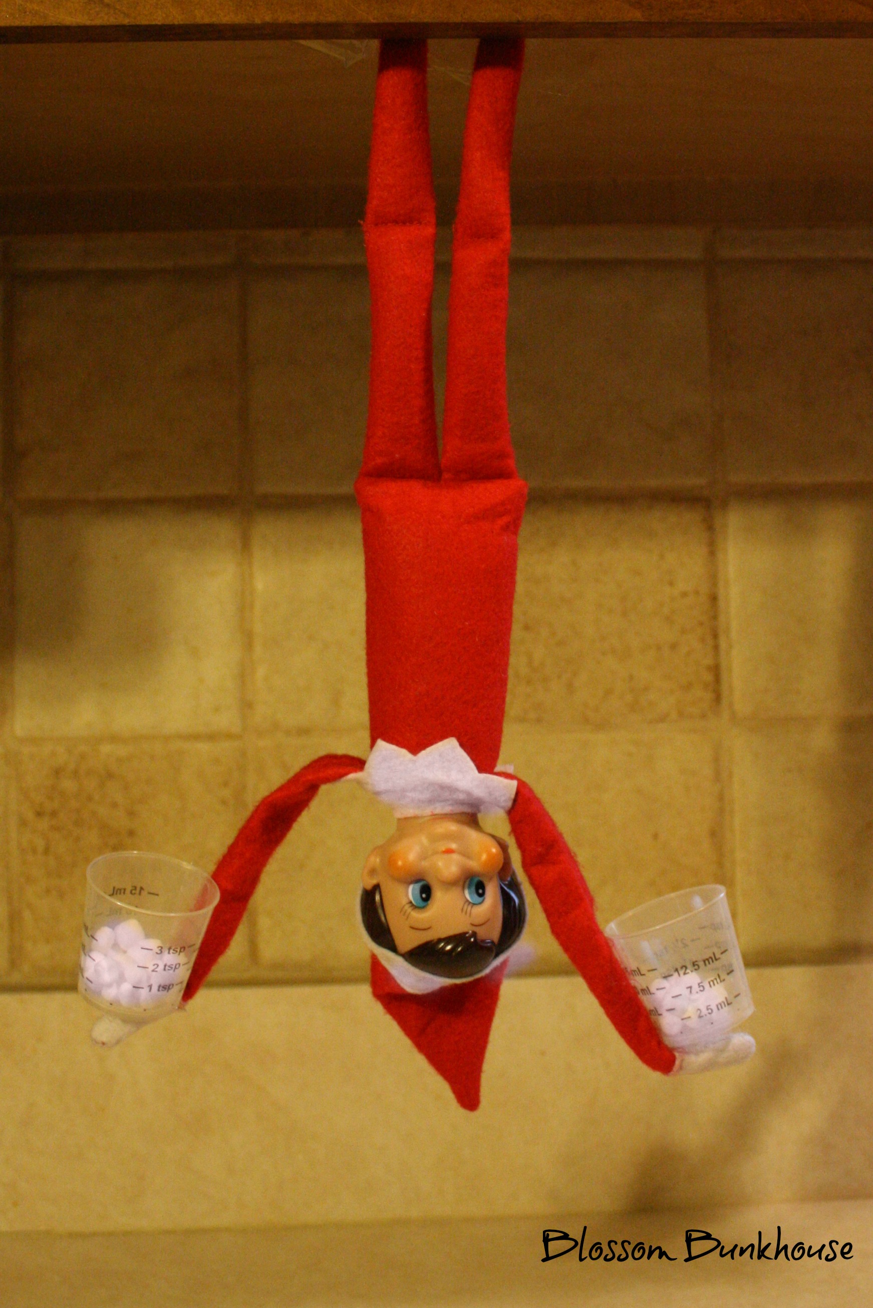 Elf on the Shelf