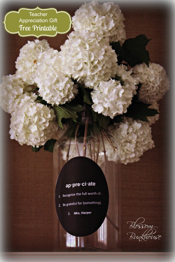 Teacher Appreciation Gift